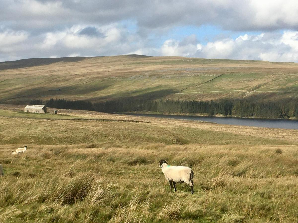 Weardale Cottage Saint Johns Chapel Exteriör bild